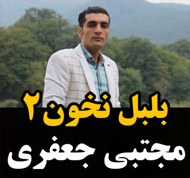 مجتبی جعفری بلبل نخون ۲